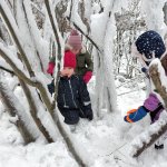 phoca_thumb_m_ledov krlovstv 2 1 Fotogalerie